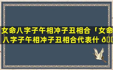 女命八字子午相冲子丑相合「女命八字子午相冲子丑相合代表什 🌳 么」